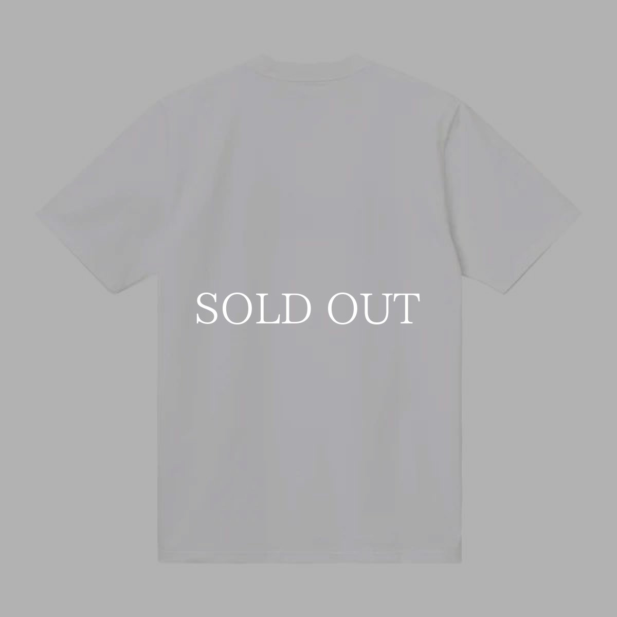 画像2: CARHARTT WIP  S/S UNIVERSITY T-SHIRT (2)