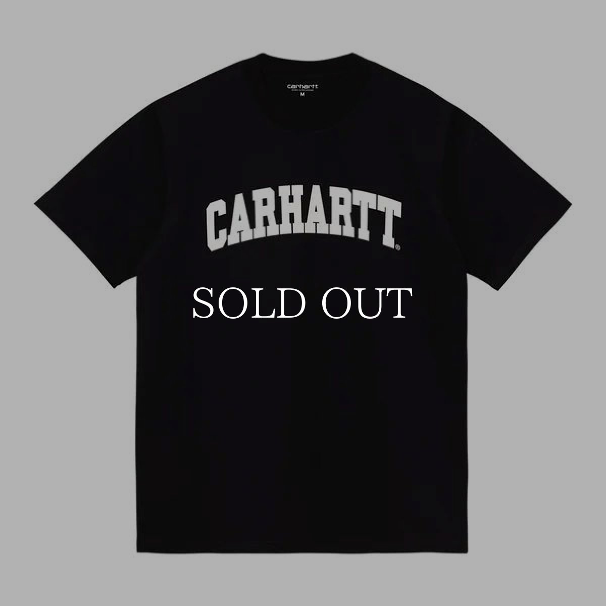 画像3: CARHARTT WIP  S/S UNIVERSITY T-SHIRT (3)