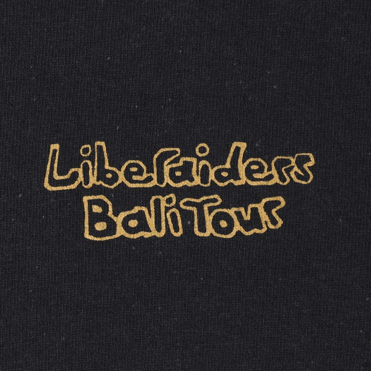 画像10: Liberaiders  DESTINATION UNKNOWN L/S TEE (10)