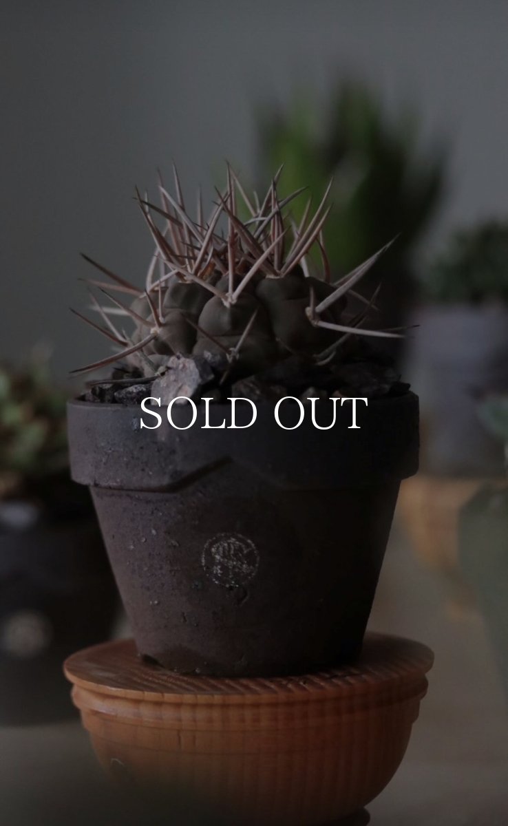 画像7: MASSES  MASSES×YAMABACHI takero pot (7)