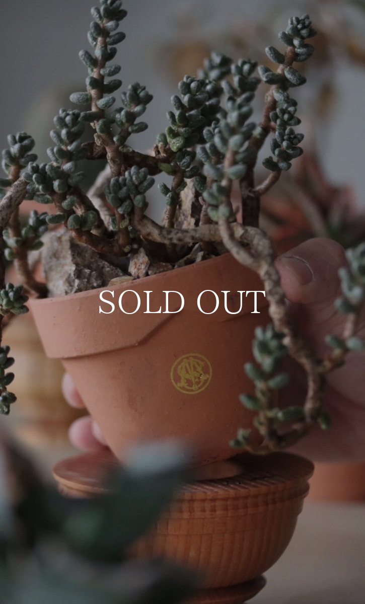 画像7: MASSES  MASSES×YAMABACHI terracotta (7)