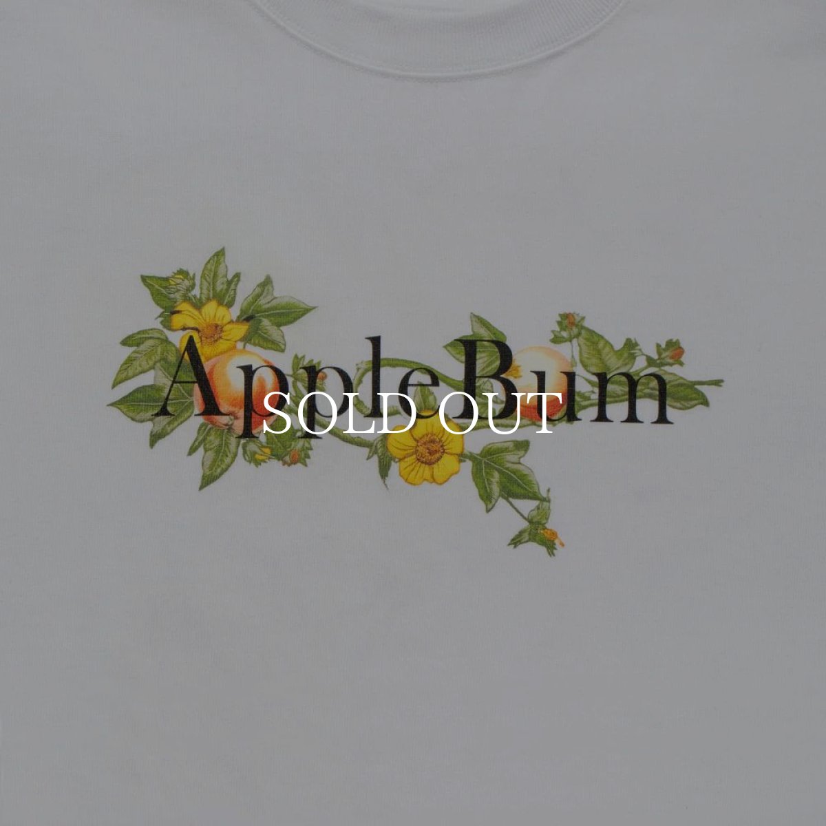 画像3: APPLEBUM  “Apple Blossom Logo” T-shirt 12oz (3)