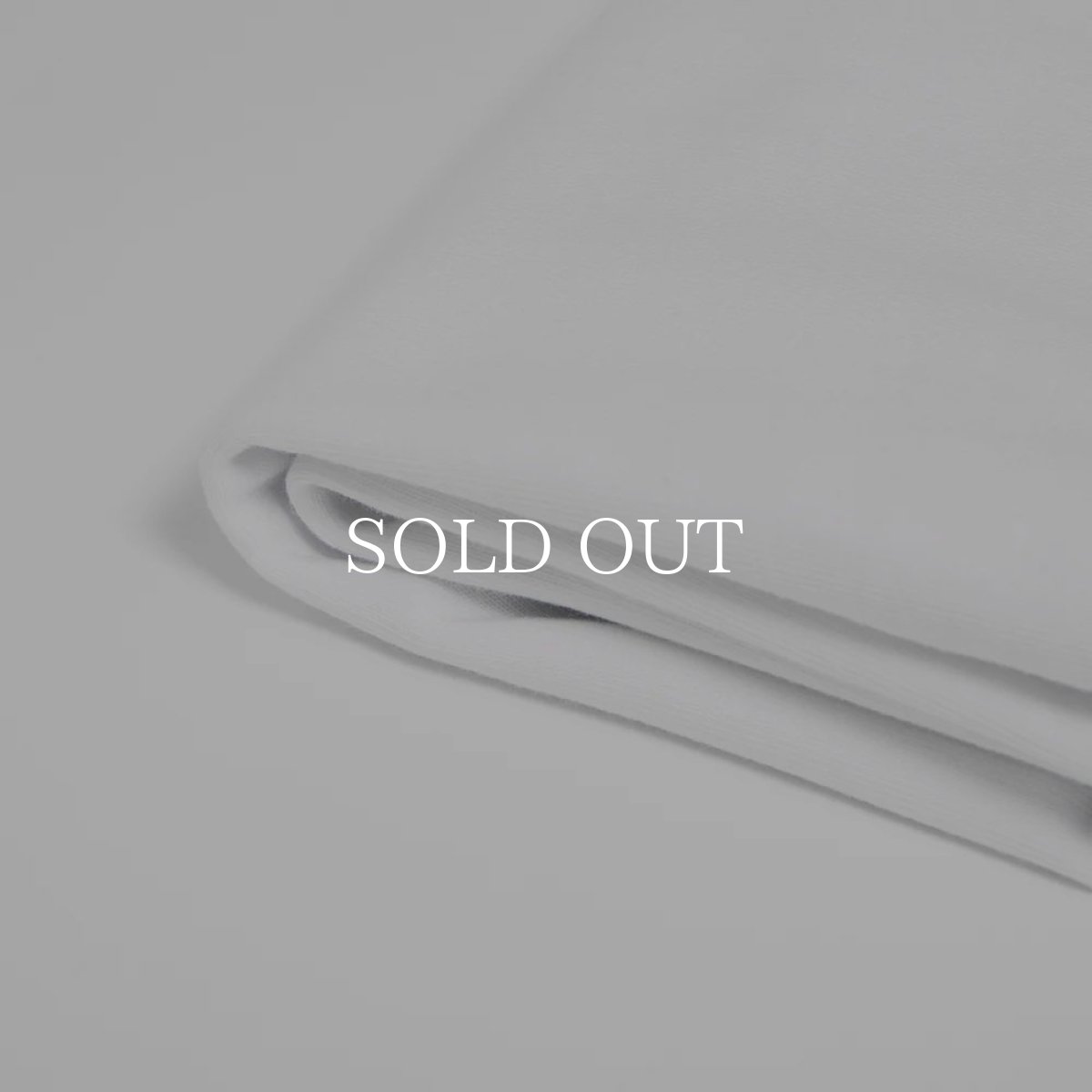 画像4: APPLEBUM  “Apple Blossom Logo” T-shirt 12oz (4)