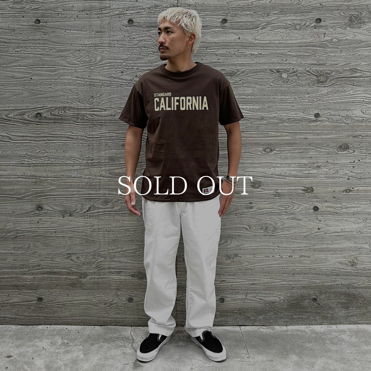 画像15: STANDARD CALIFORNIA  RUSSELL ATHLETIC / SD Reversible T (15)