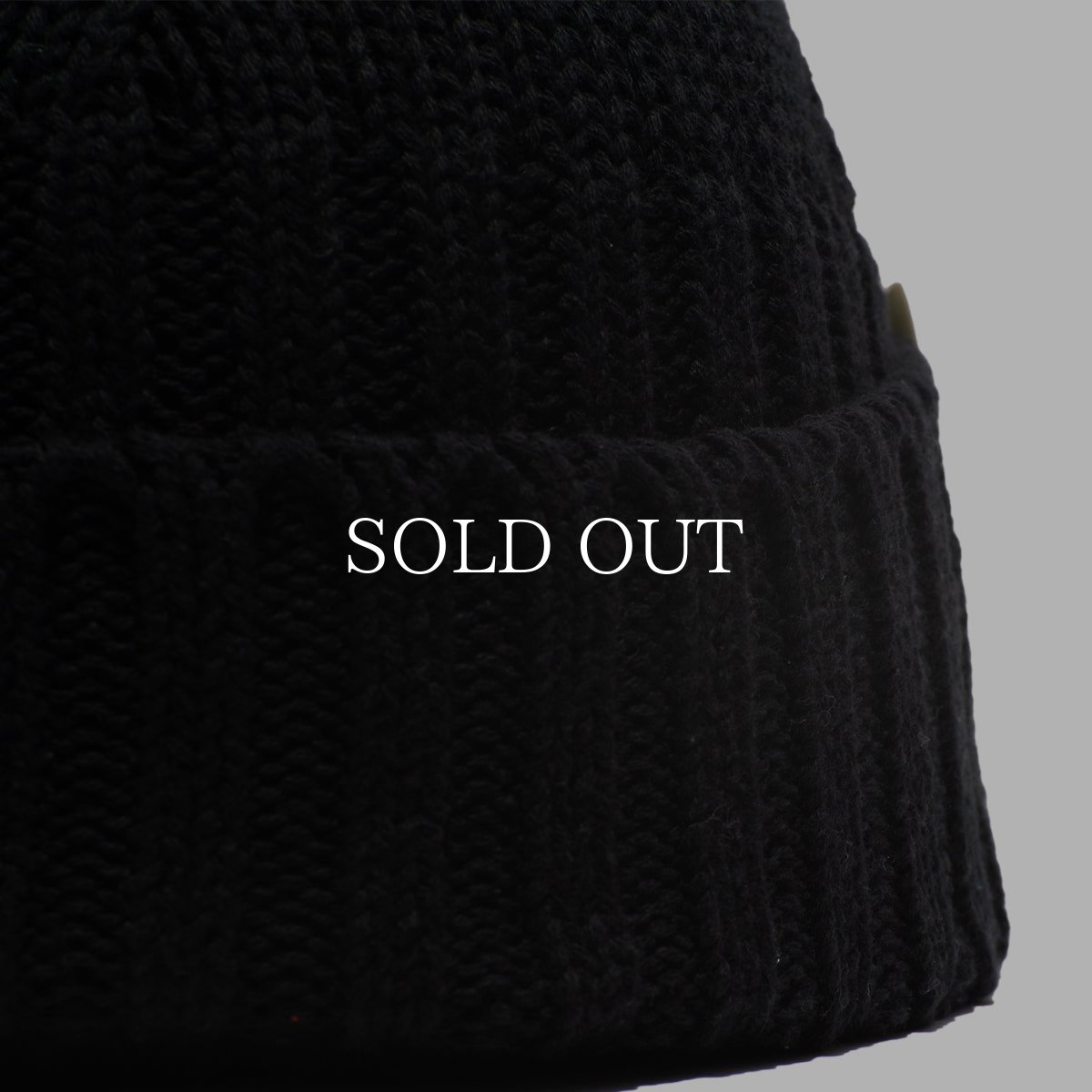 画像5: THE H.W.DOG&CO.  RC WATCH (5)