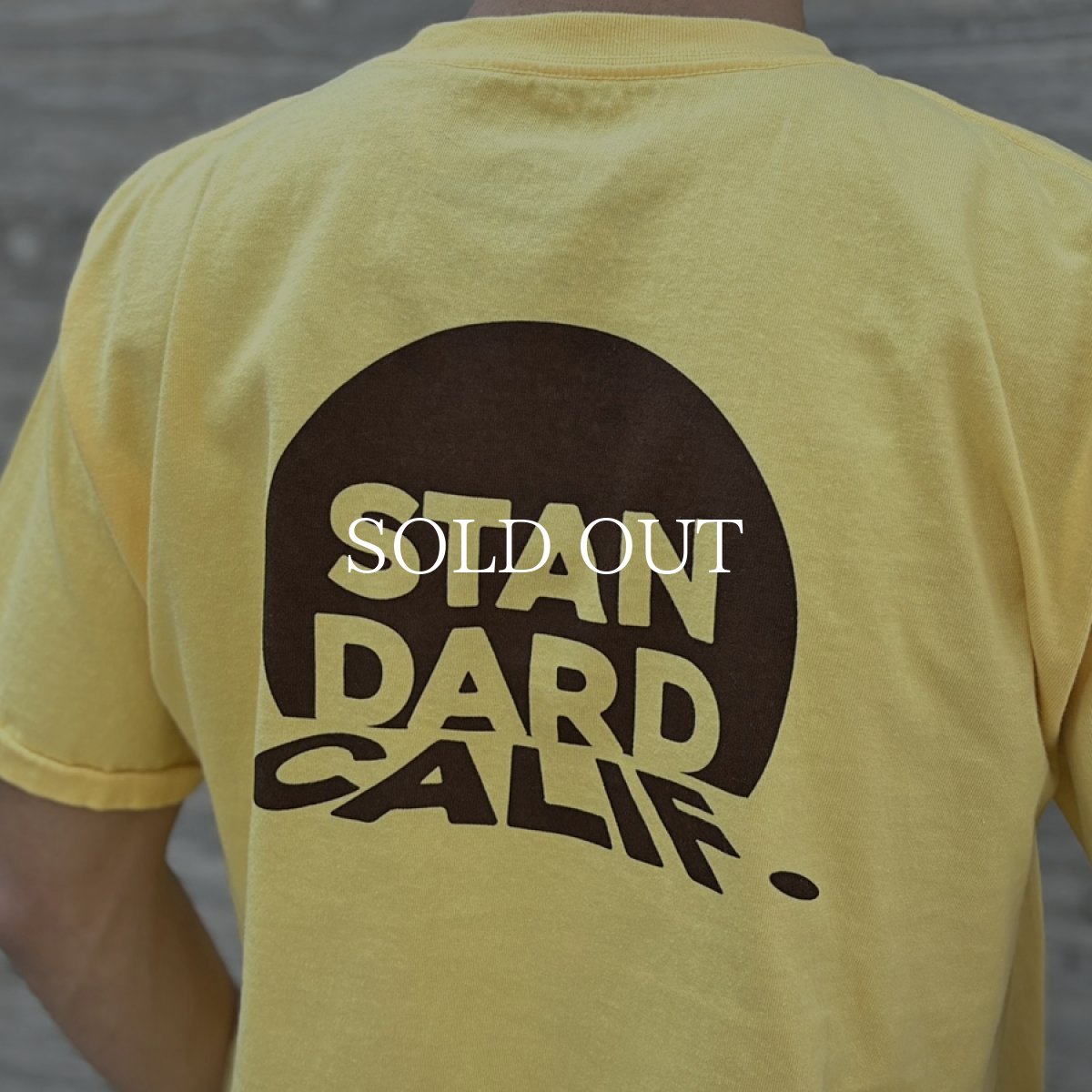 画像11: STANDARD CALIFORNIA  SD Beyond The Coast Line T (11)
