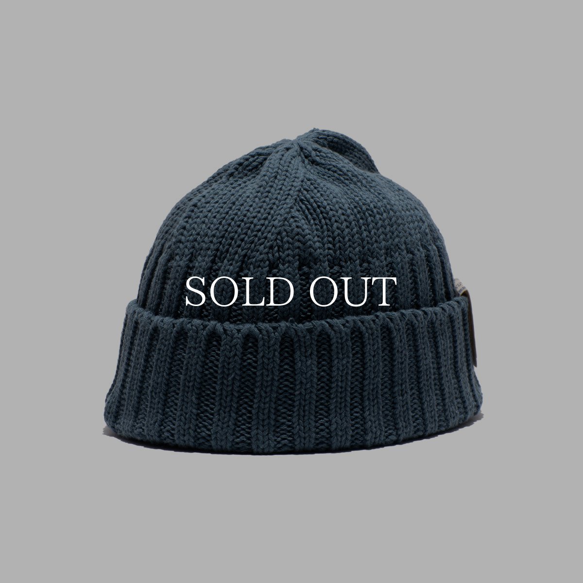 画像6: THE H.W.DOG&CO.  RC WATCH (6)