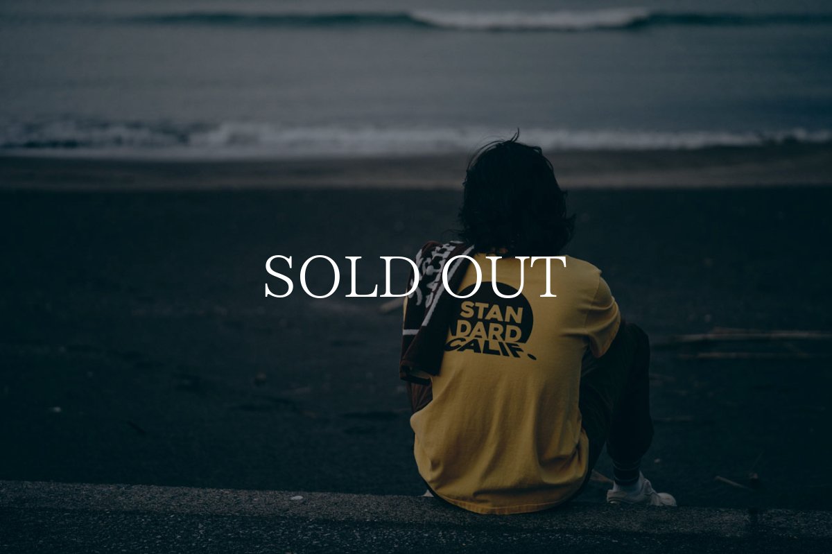 画像14: STANDARD CALIFORNIA  SD Beyond The Coast Line T (14)