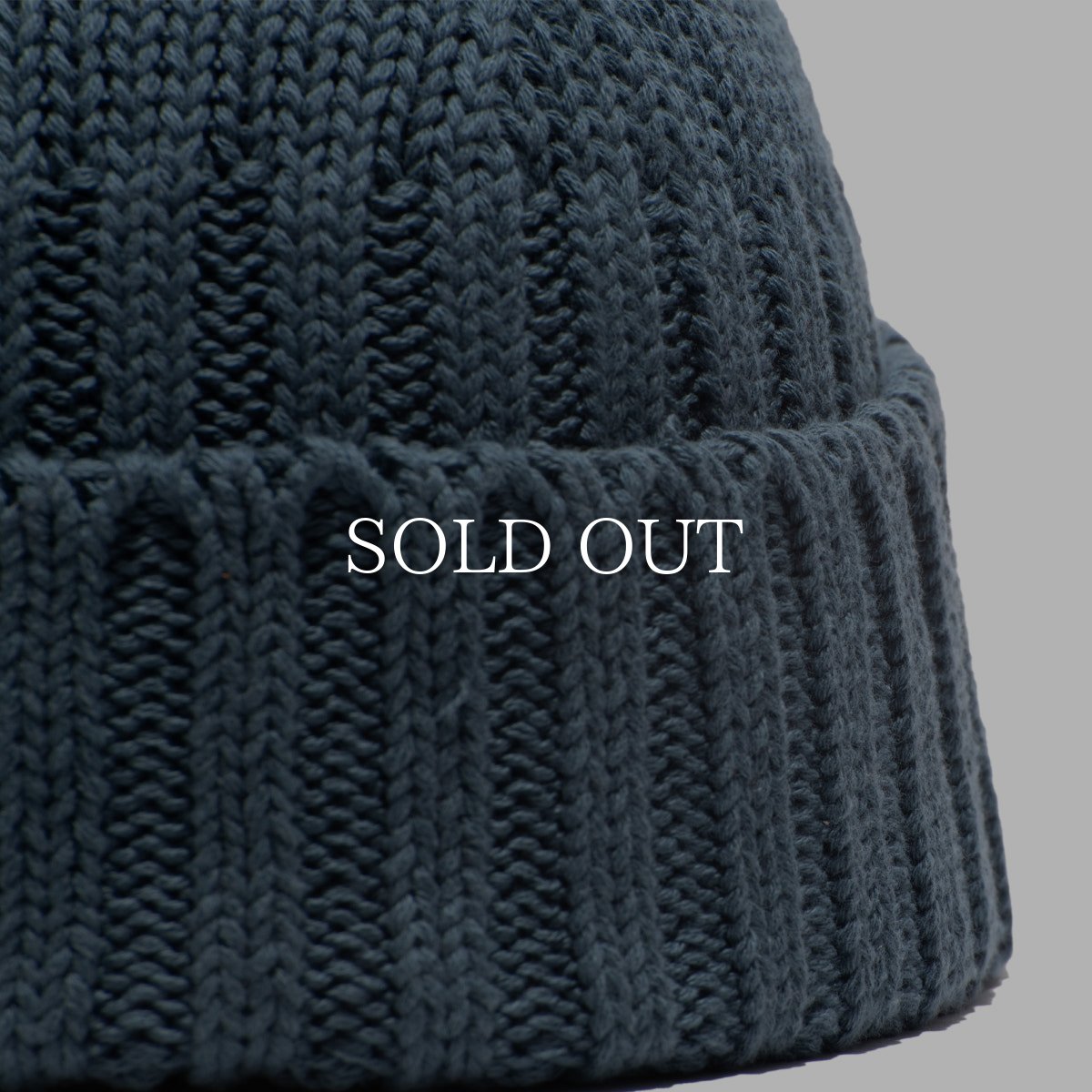 画像10: THE H.W.DOG&CO.  RC WATCH (10)