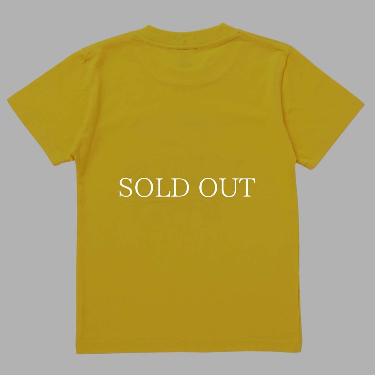 画像9: PORKCHOP GARAGE SUPPLY  PORK FRONT TEE for kids (9)