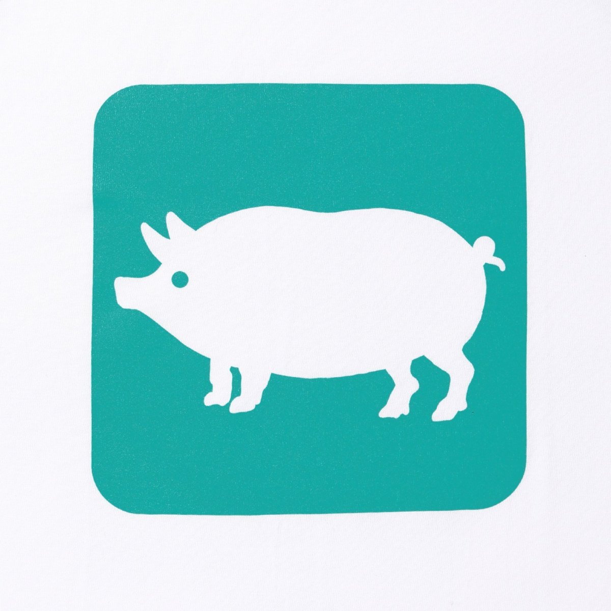 画像8: PORKCHOP GARAGE SUPPLY  CYOW RAGLAN L/S TEE (8)