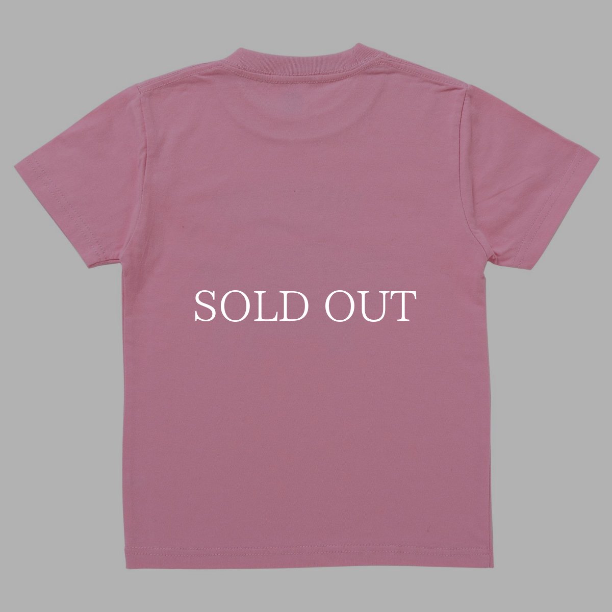 画像12: PORKCHOP GARAGE SUPPLY  PORK FRONT TEE for kids (12)