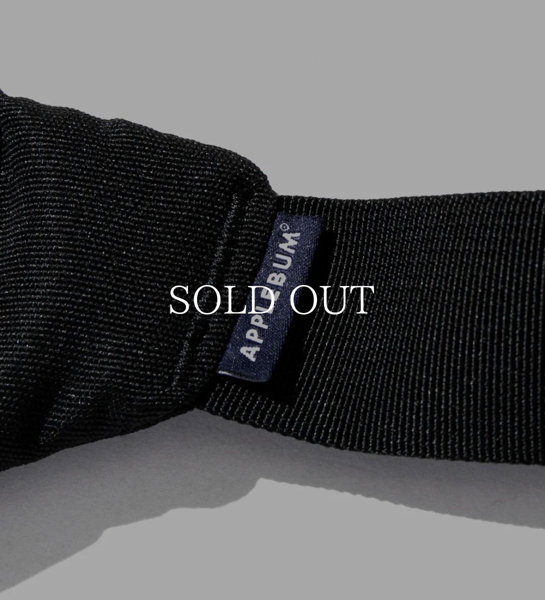 画像4: APPLEBUM  Logo Waist Bag (4)