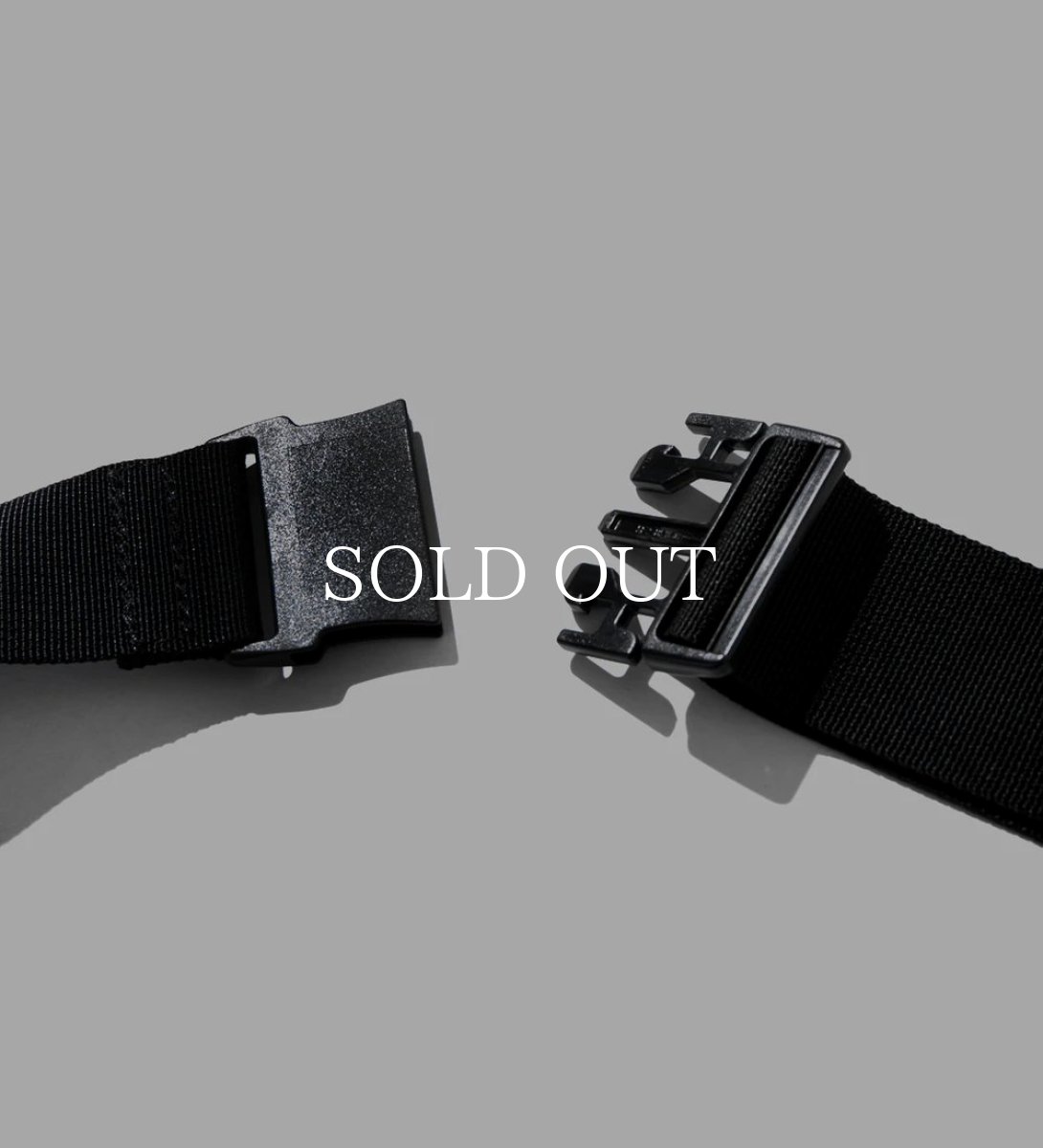 画像6: APPLEBUM  Logo Waist Bag (6)