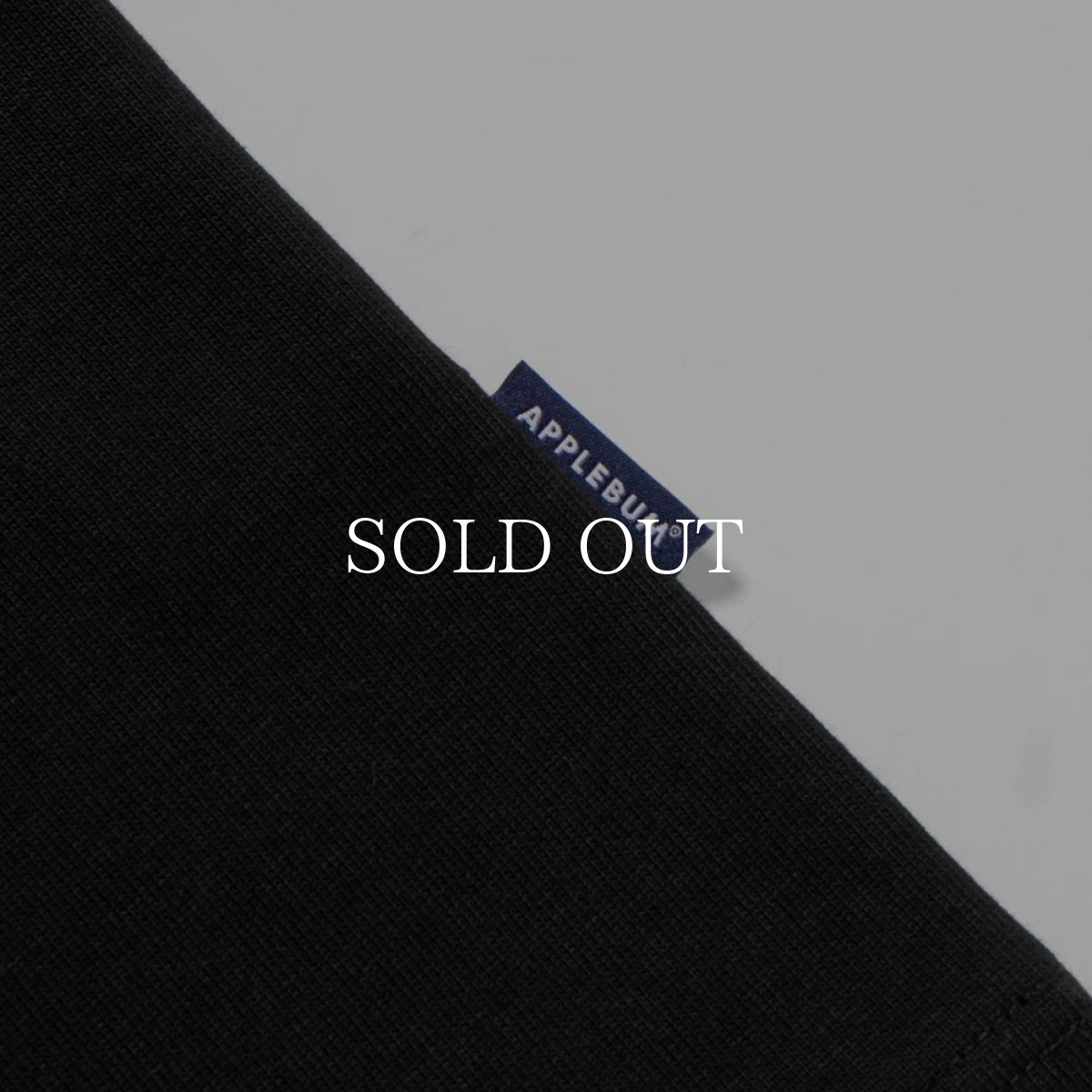 画像11: APPLEBUM  “Renaissance MC” T-shirt 12oz (11)