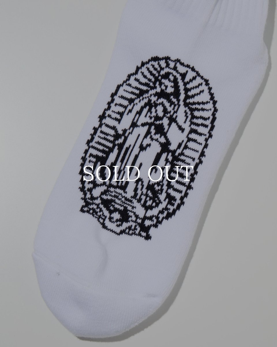 画像5: RADIALL   CRADLE - 1PAC SOX SHORT / DRALON (5)