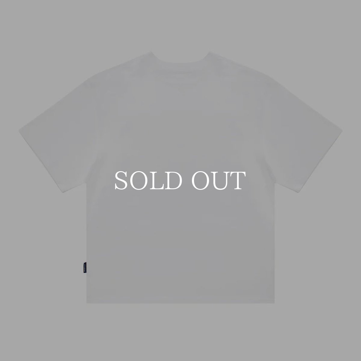 画像2: APPLEBUM  “Renaissance MC” T-shirt 12oz (2)