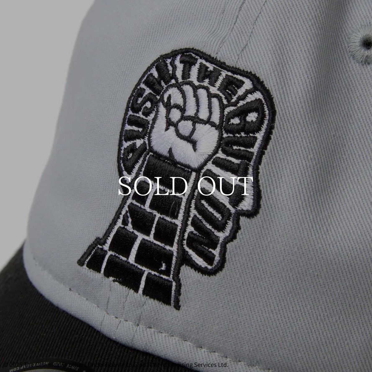 画像6: NEW ERA  9TWENTY The Chemical Brothers Push the Button グレー ブラックバイザー (6)