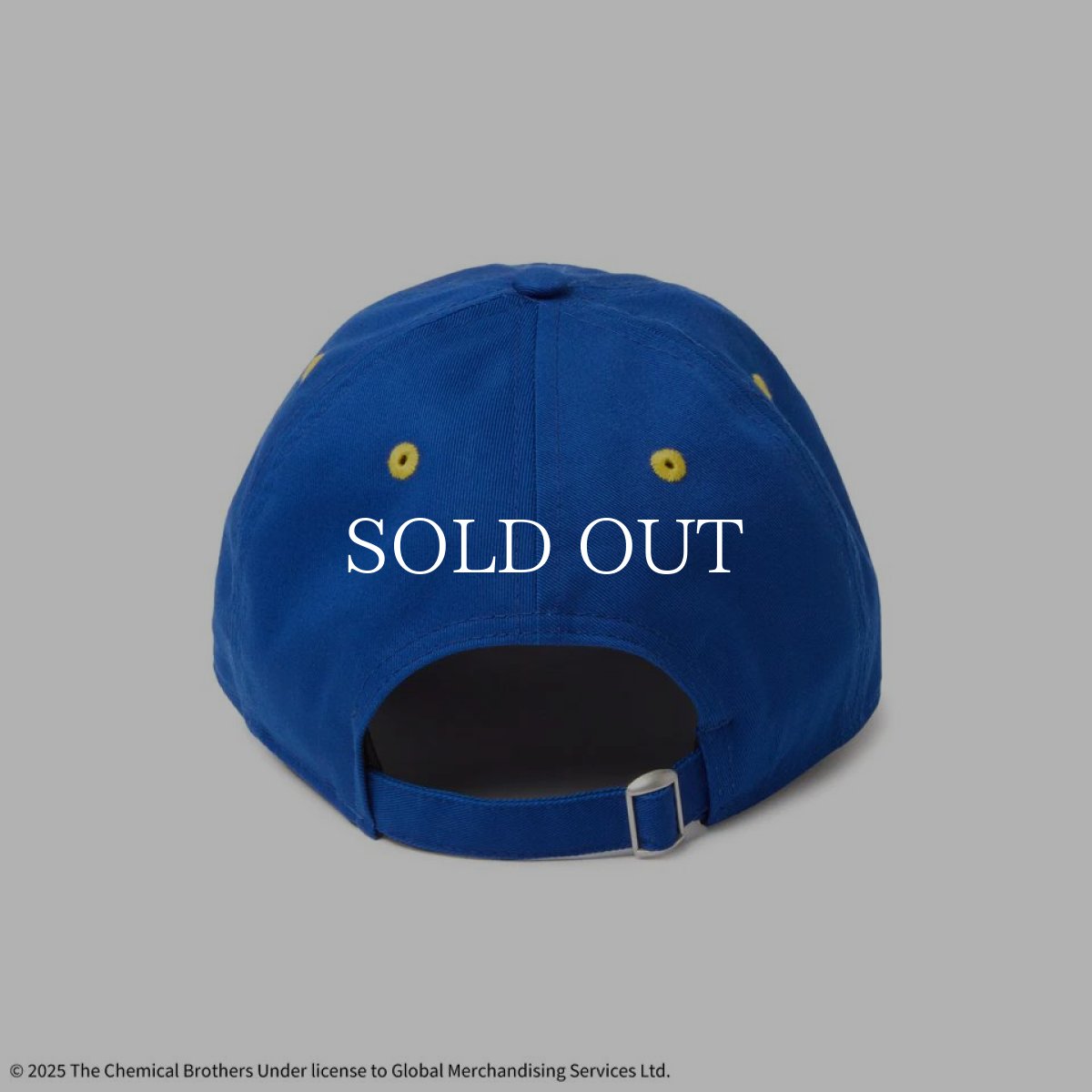 画像3: NEW ERA  9THIRTY The Chemical Brothers For That Beautiful Feeling ライトロイヤル (3)