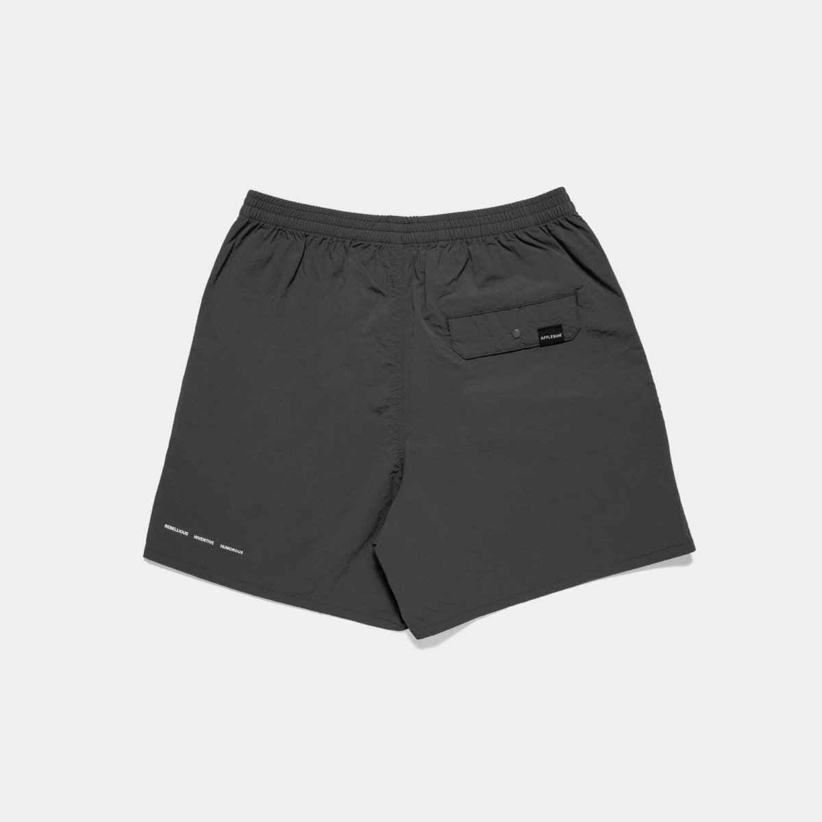 画像12: APPLEBUM  Active Nylon Shorts (12)