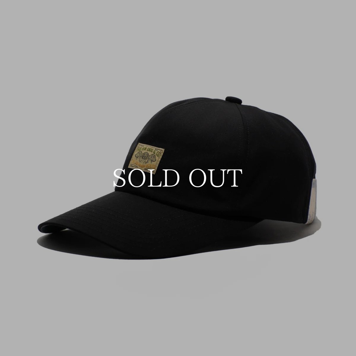 画像1: THE H.W.DOG&CO.  BIG BRIM M CAP (1)