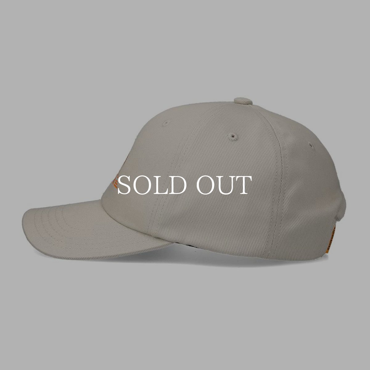 画像5: STANDARD CALIFORNIA  SD Beyond The Coast Line Baseball Cap (5)