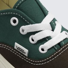 画像5: VANS  Authentic (5)