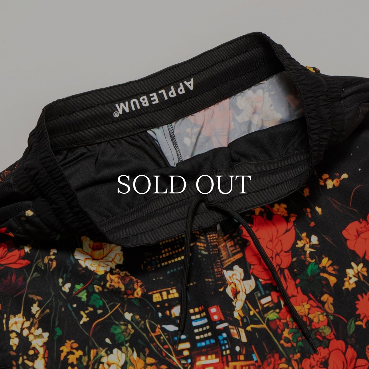 画像4: APPLEBUM  ”Utopia” Basketball Shorts (4)