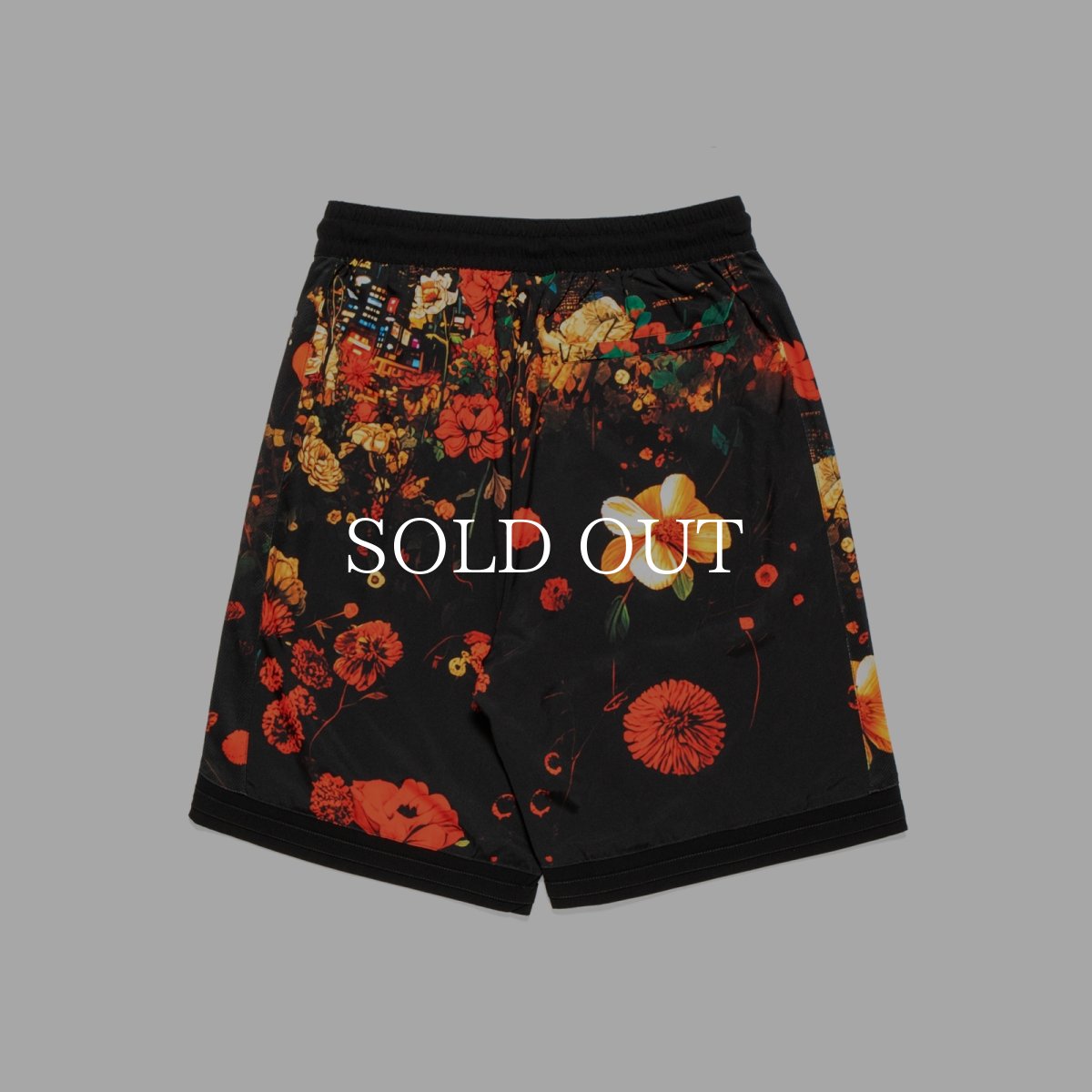 画像2: APPLEBUM  ”Utopia” Basketball Shorts (2)