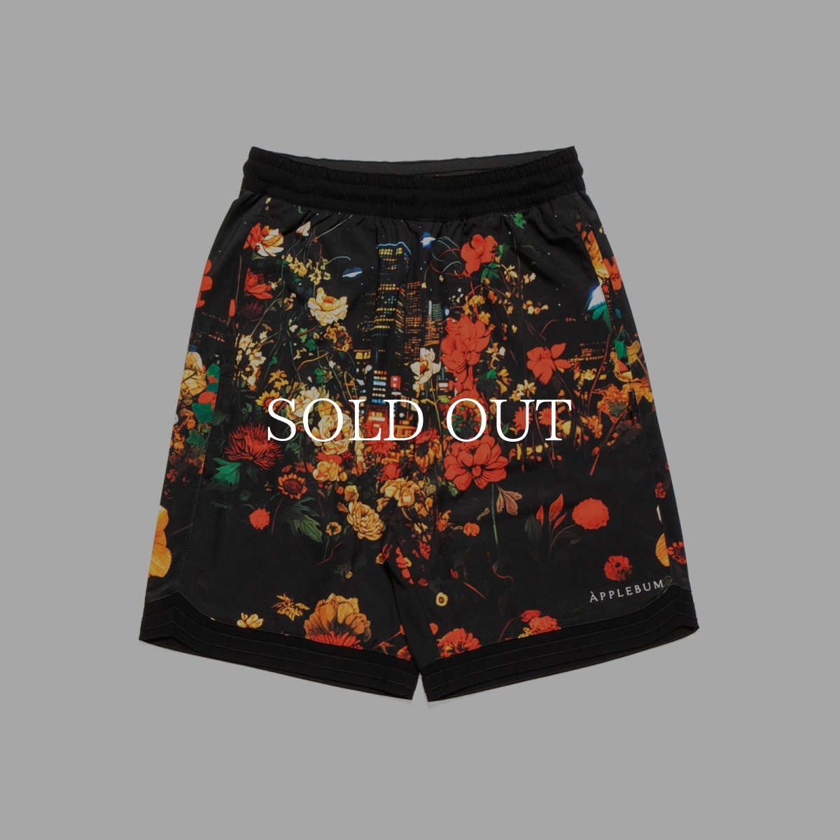 画像1: APPLEBUM  ”Utopia” Basketball Shorts (1)