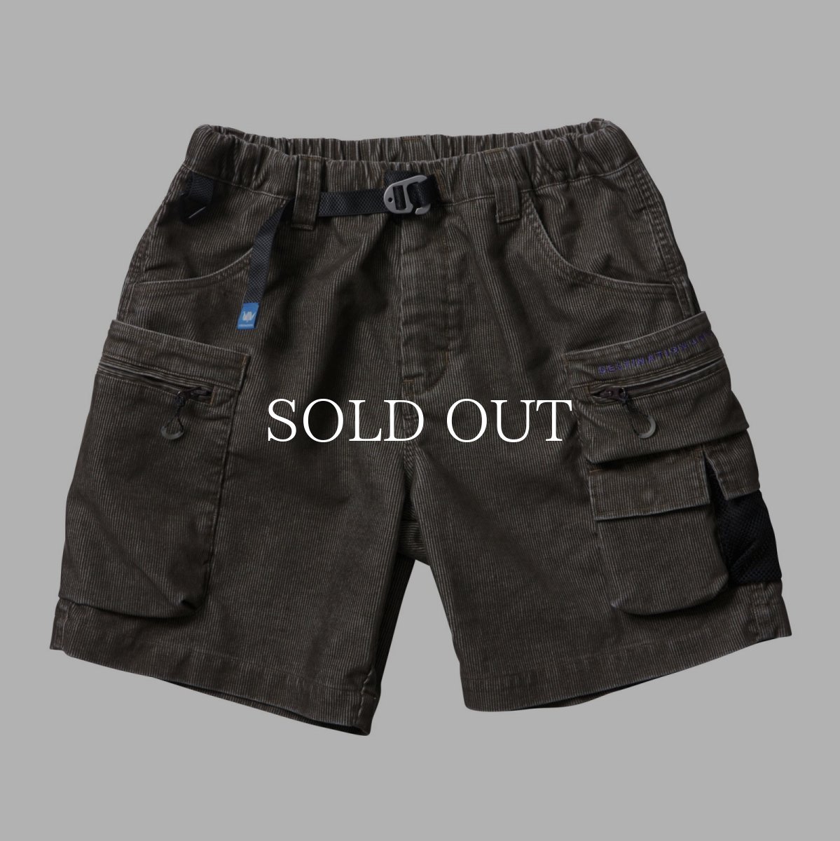 画像7: Liberaiders  CORDUROY UTILITY SHORTS (7)