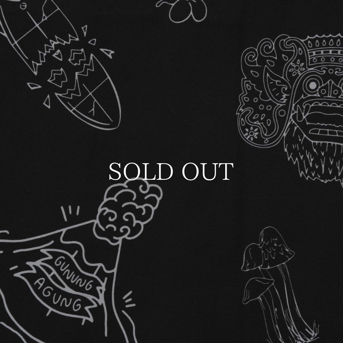 画像3: Liberaiders  RAYON ALOHA SHIRT (3)