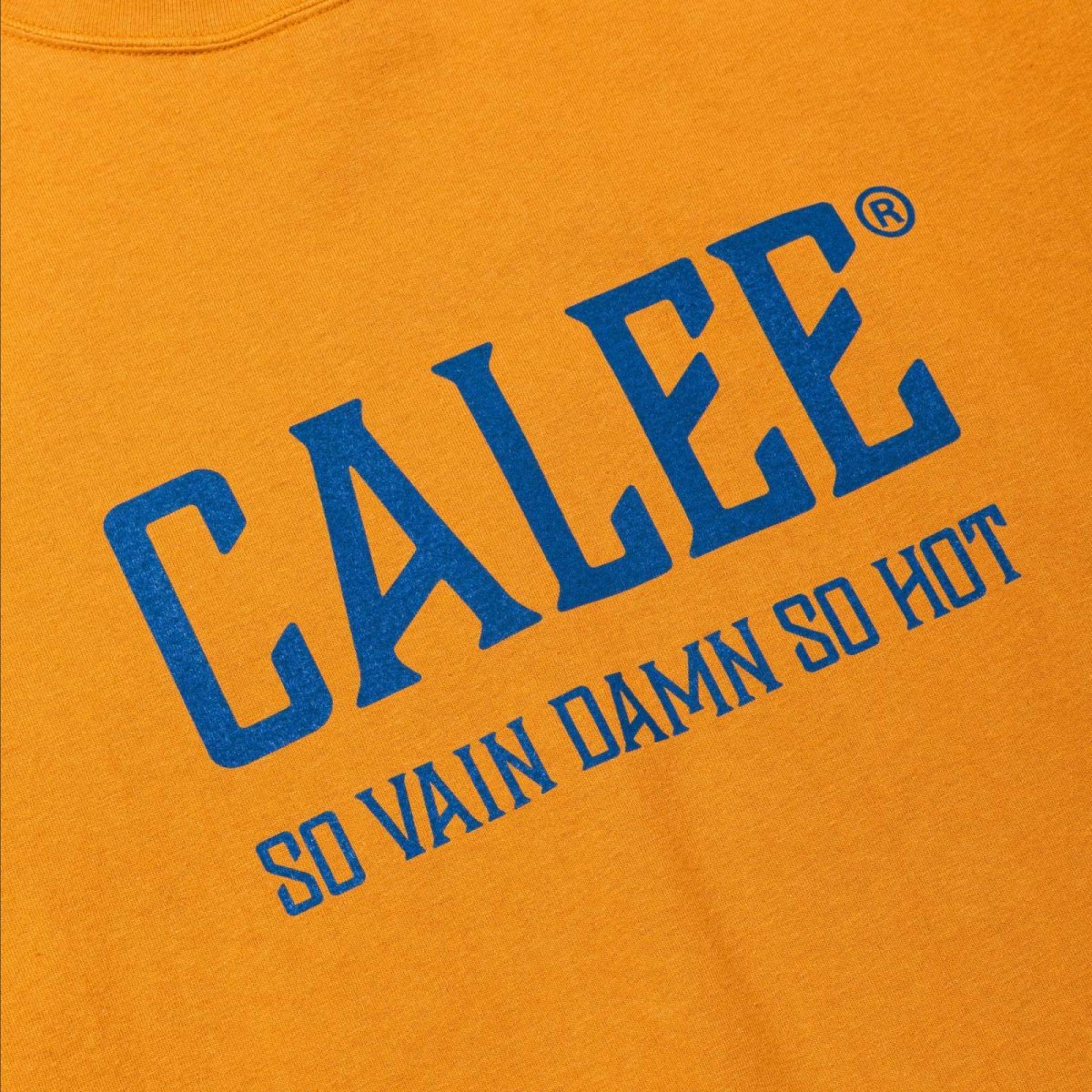 画像6: CALEE  VINTAGE TYPE CALEE NATIONAL LOGO S/S TEE (6)