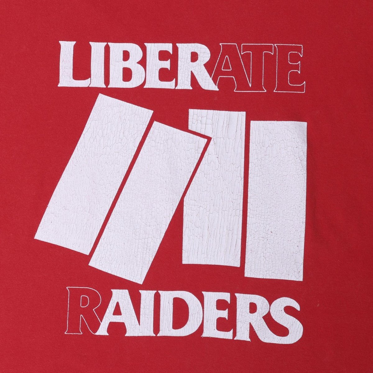 画像10: Liberaiders  COMPOSTION TEE (10)