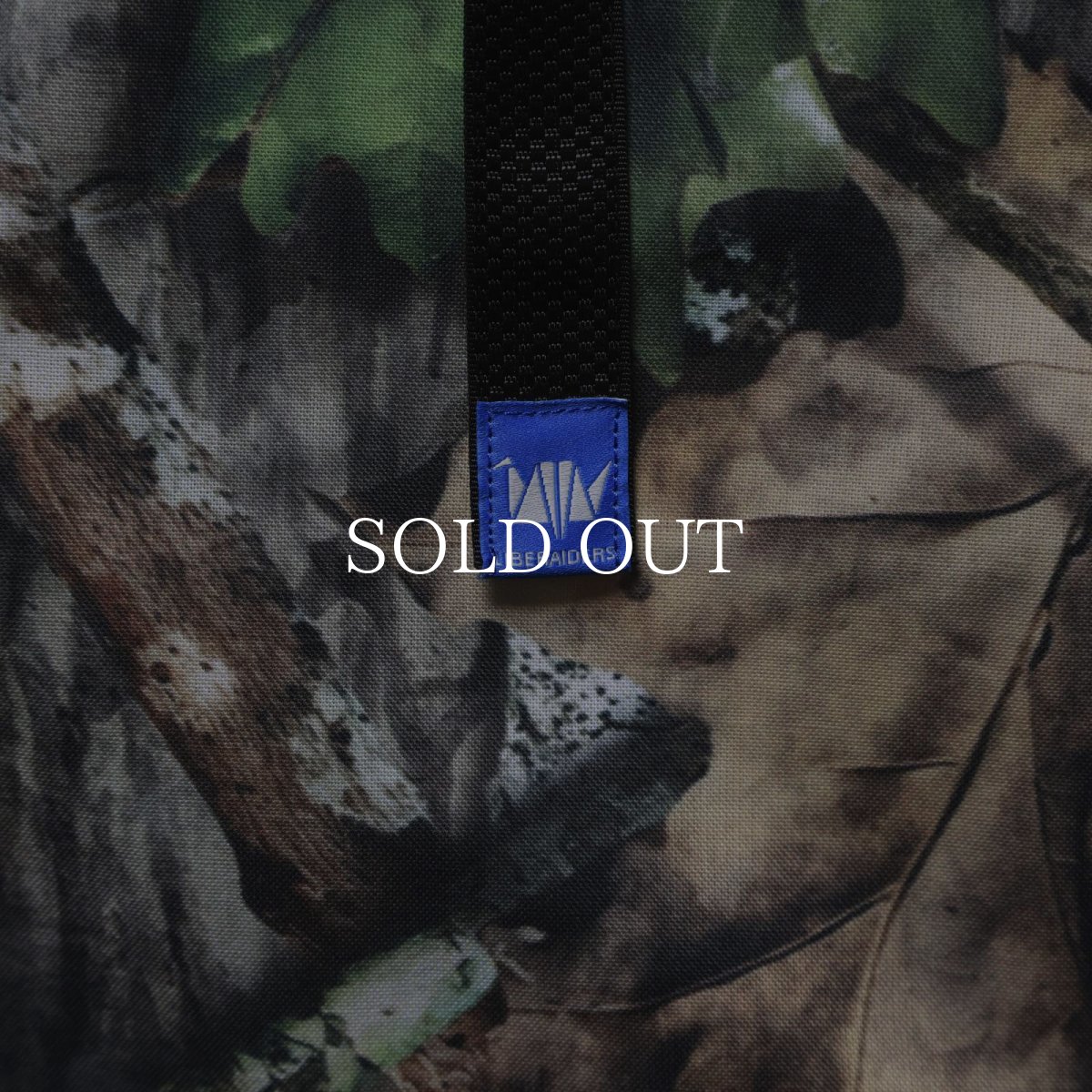 画像14: Liberaiders  LR NYLON SHORTS (14)