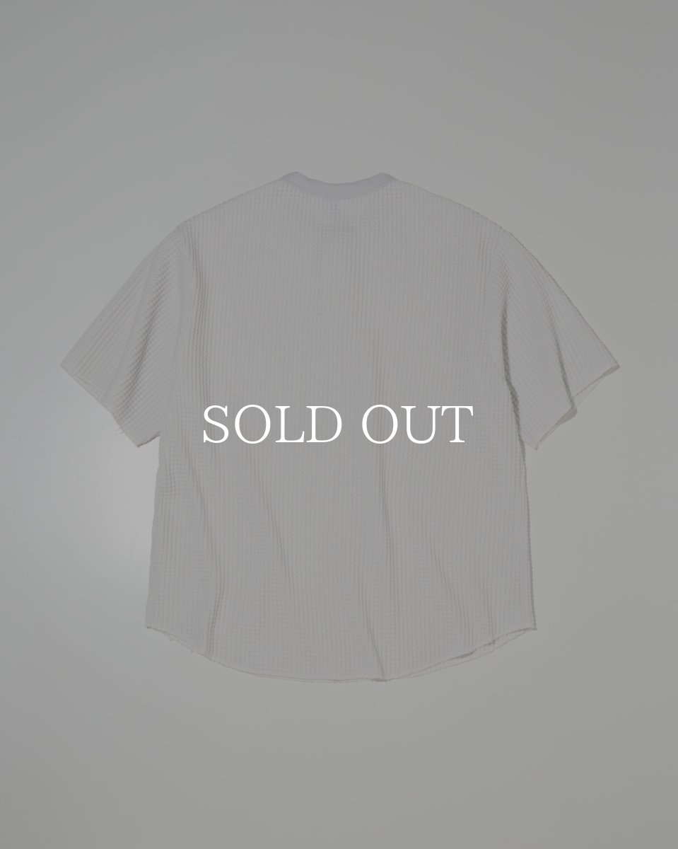 画像2: RADIALL  BIG WAFFLE - HENLEY NECK SHIRT S/S (2)