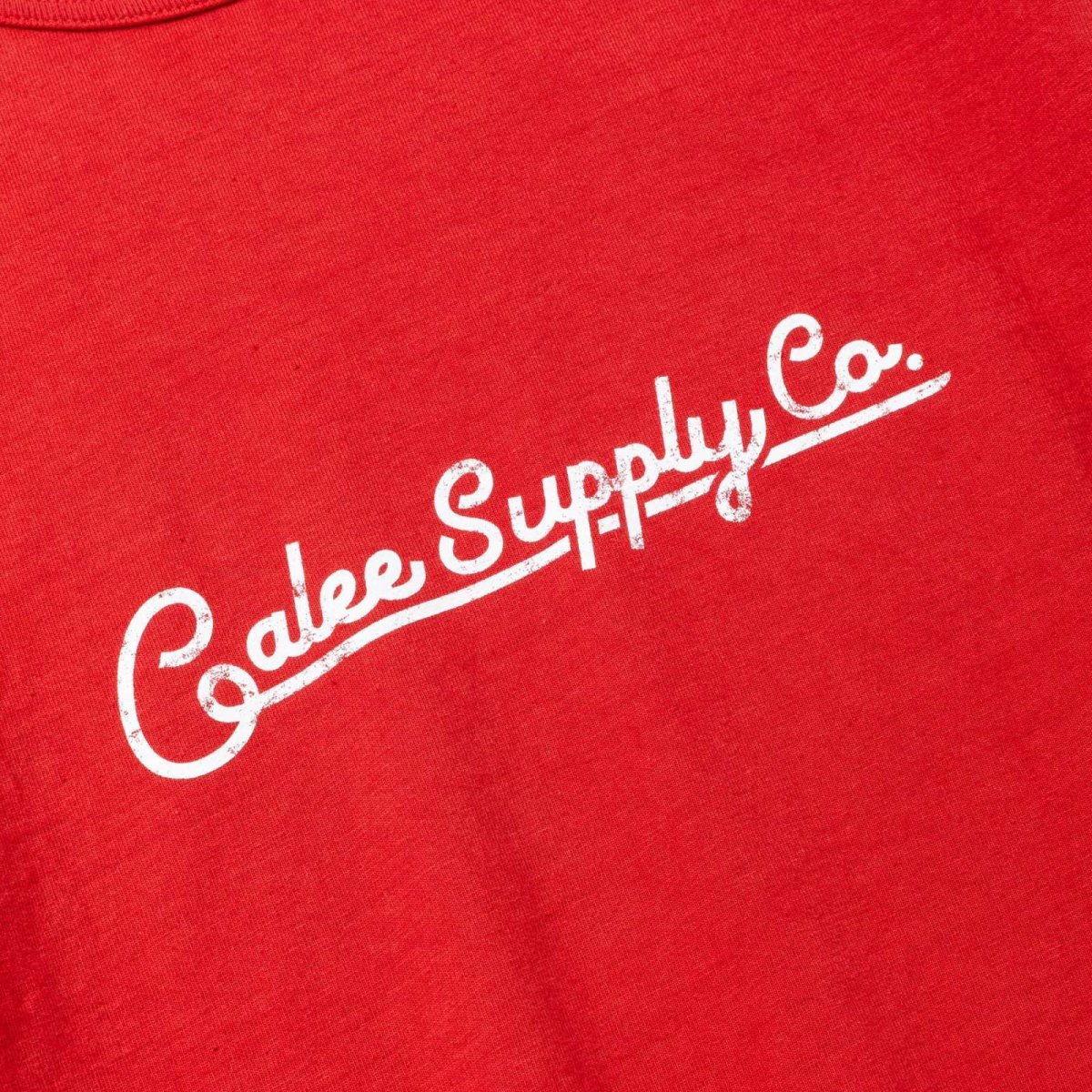 画像10: CALEE  VINTAGE REPRODUCT RAGLAN S/S CS (10)