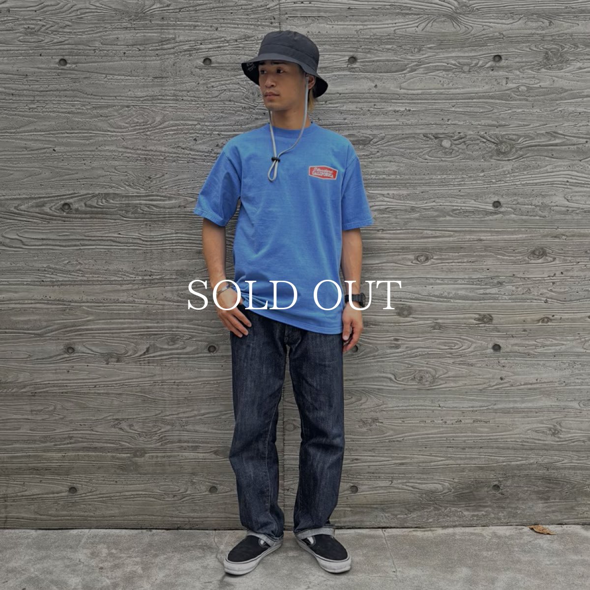 画像12: STANDARD CALIFORNIA  SD Heavyweight Stadium Logo T (12)