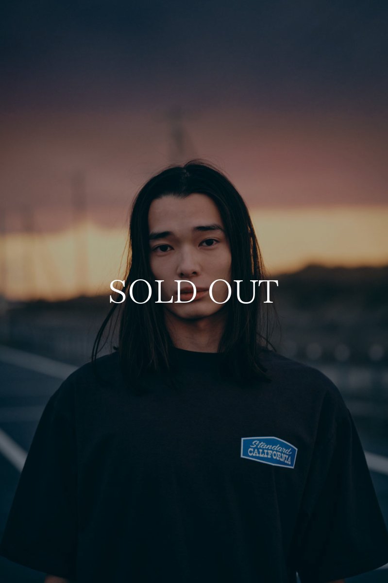 画像14: STANDARD CALIFORNIA  SD Heavyweight Stadium Logo T (14)
