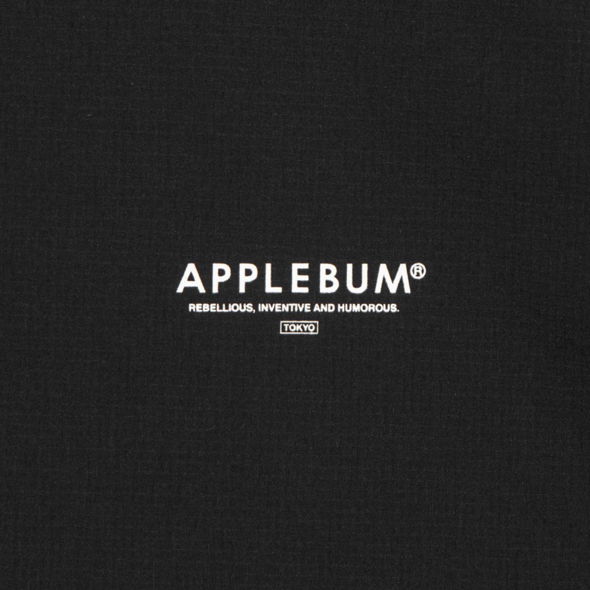 画像3: APPLEBUM  Physical Training T-shirt (3)