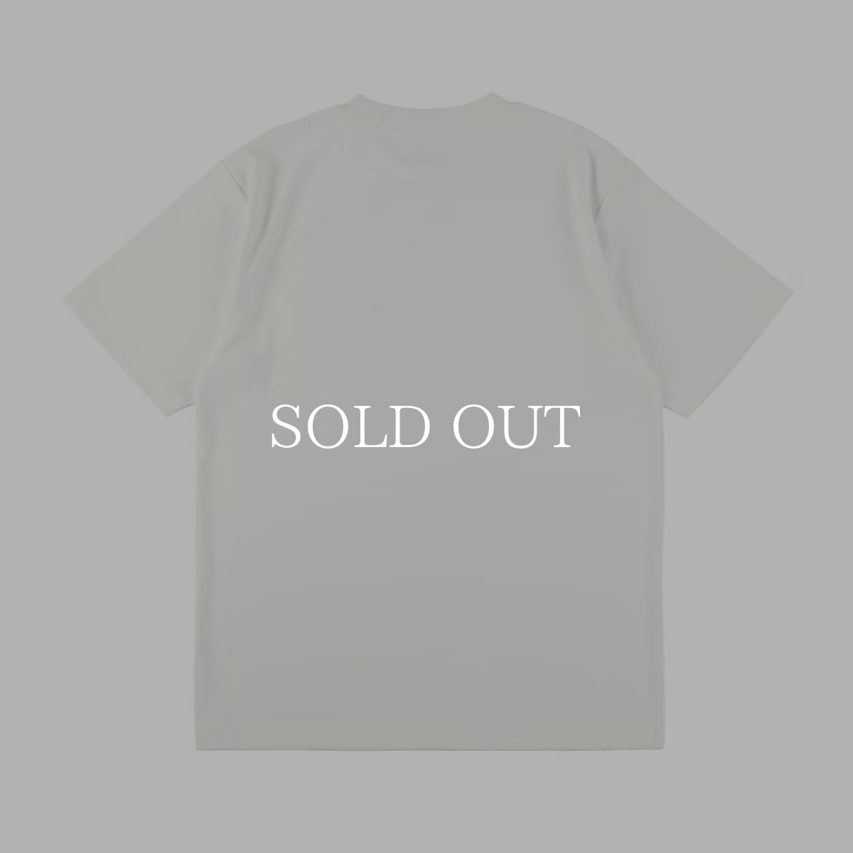 画像3: STANDARD CALIFORNIA  【再入荷】SD Tech Dry Active Logo Pocket T (3)