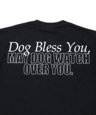 画像12: ROTTWEILER 【先行予約】DOG PHOTO TEE (12)