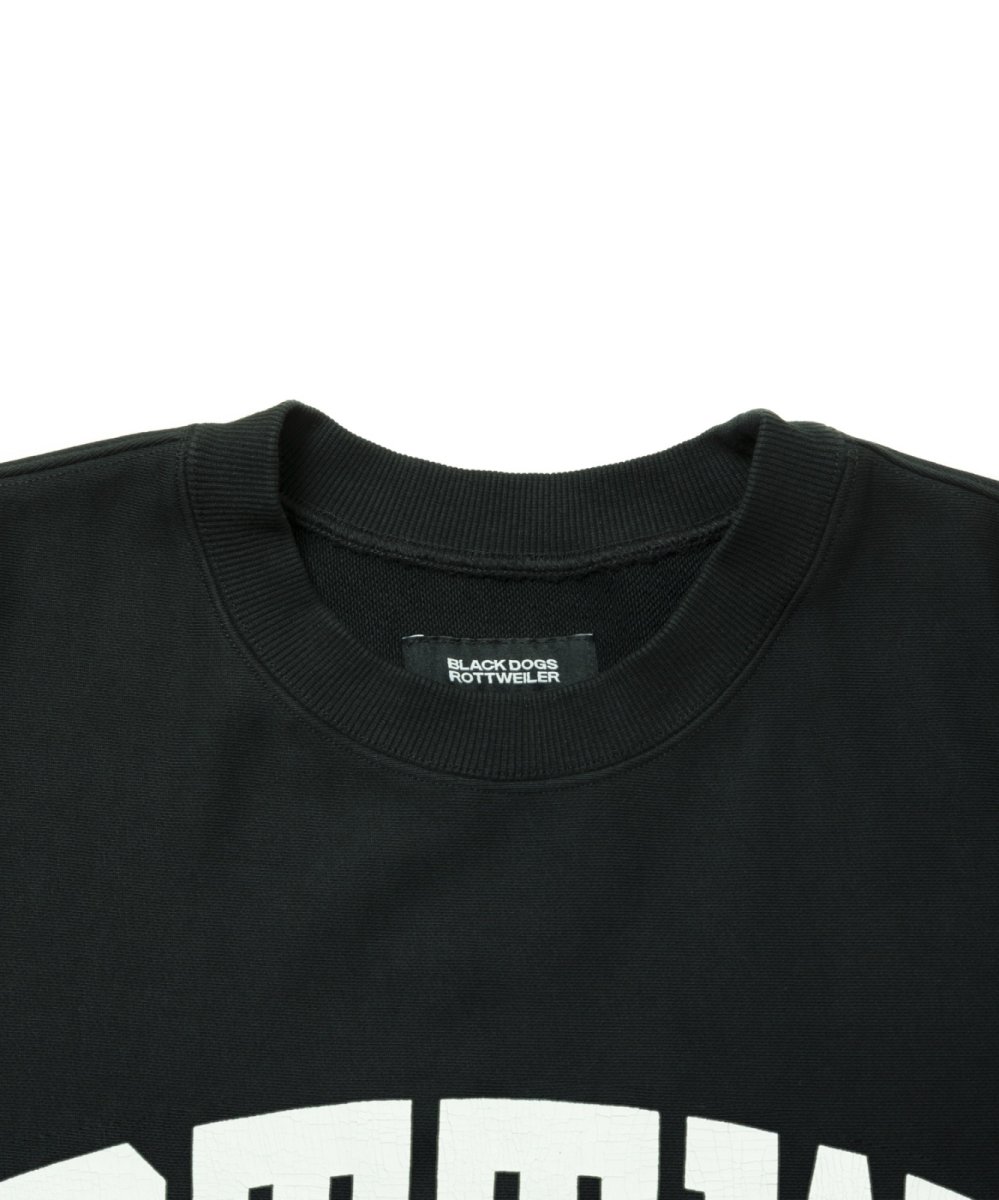 画像9: ROTTWEILER  R9 RTTW SWEATER (9)