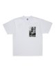 WHITE__SWHITE__