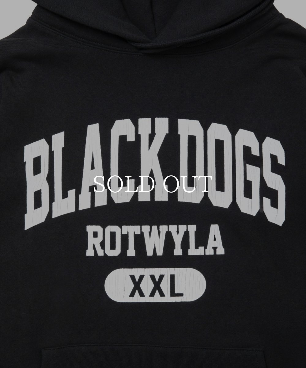 画像2: ROTTWEILER  BD XXL PARKA (2)