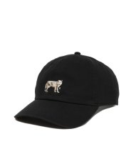 画像2: ROTTWEILER 【先行予約】DAD DOG CAP (2)