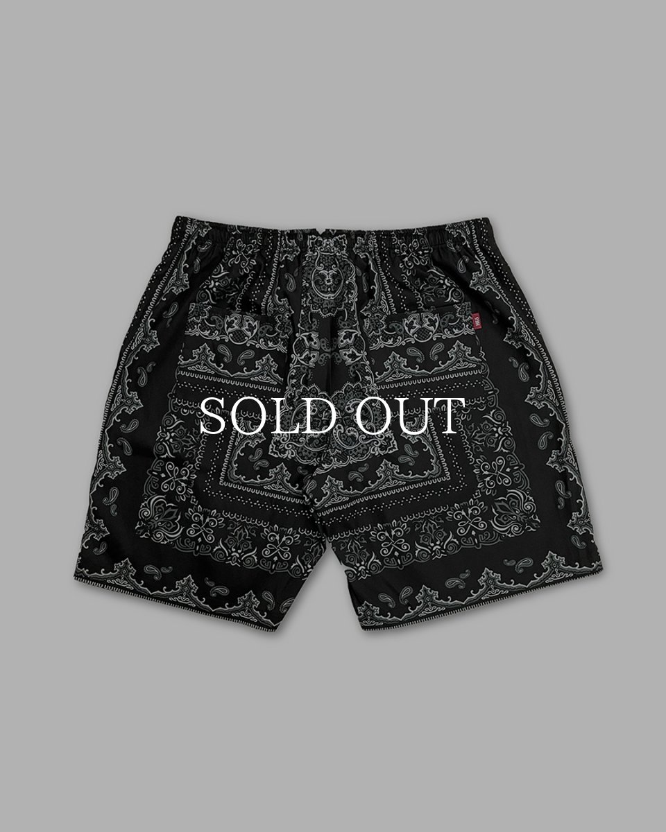 画像2: HideandSeek  Bandana Pattern Short (2)