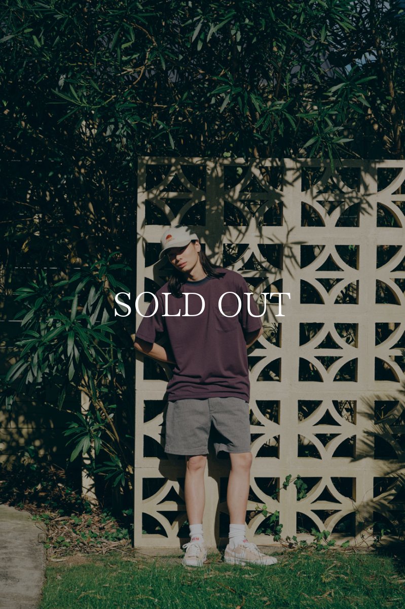 画像11: STANDARD CALIFORNIA  SD Easy Chino Shorts (11)