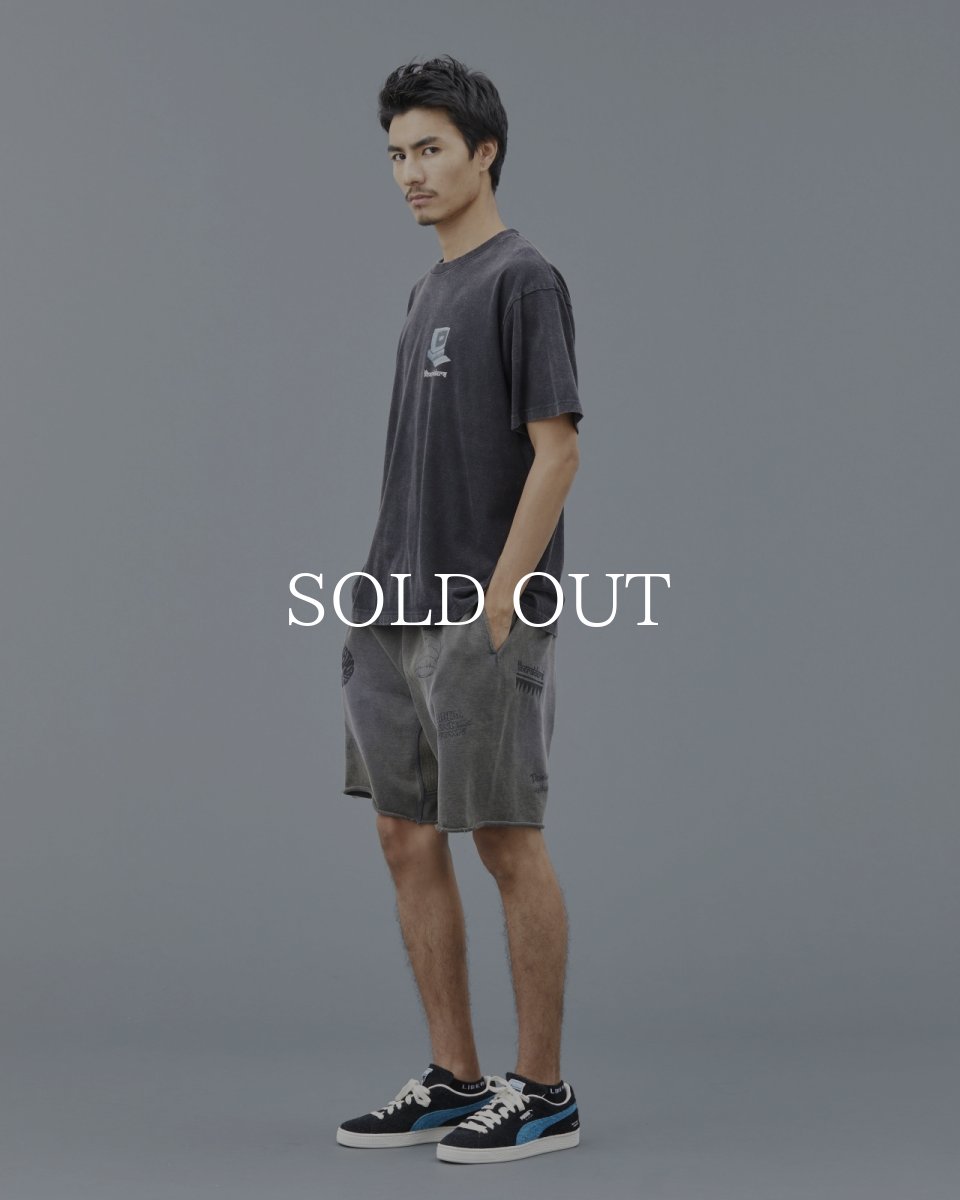 画像21: Liberaiders  SECRET TEE (21)