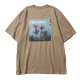 BEIGE__SBEIGE__